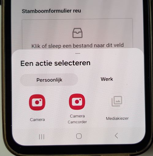 stamboom reu keuze