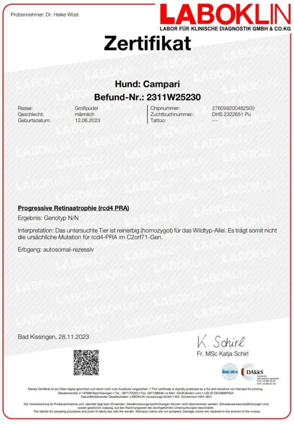 reu rcd4PRA