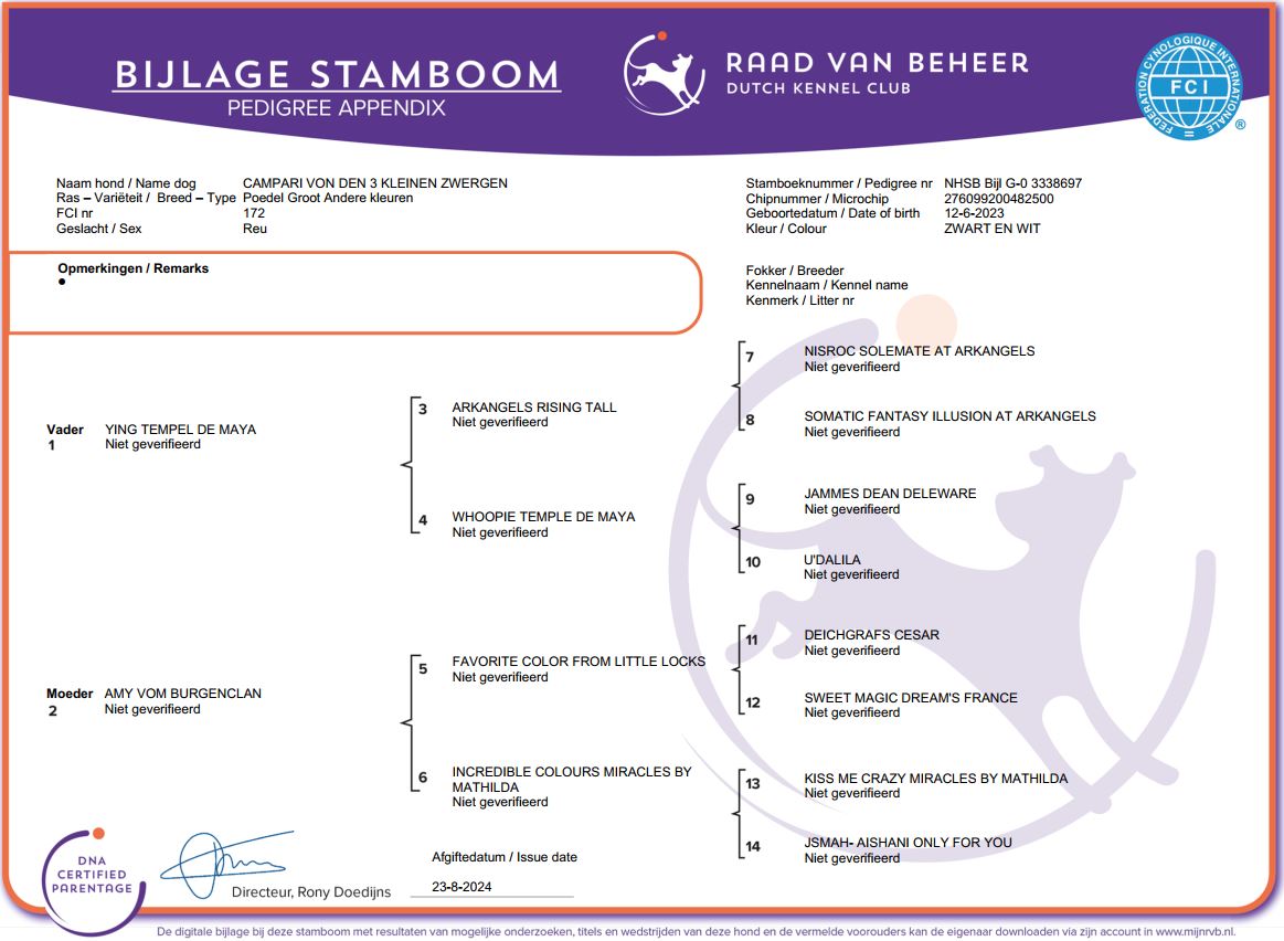 reu stamboom