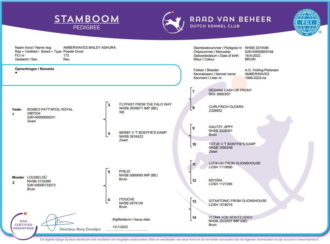 stamboom